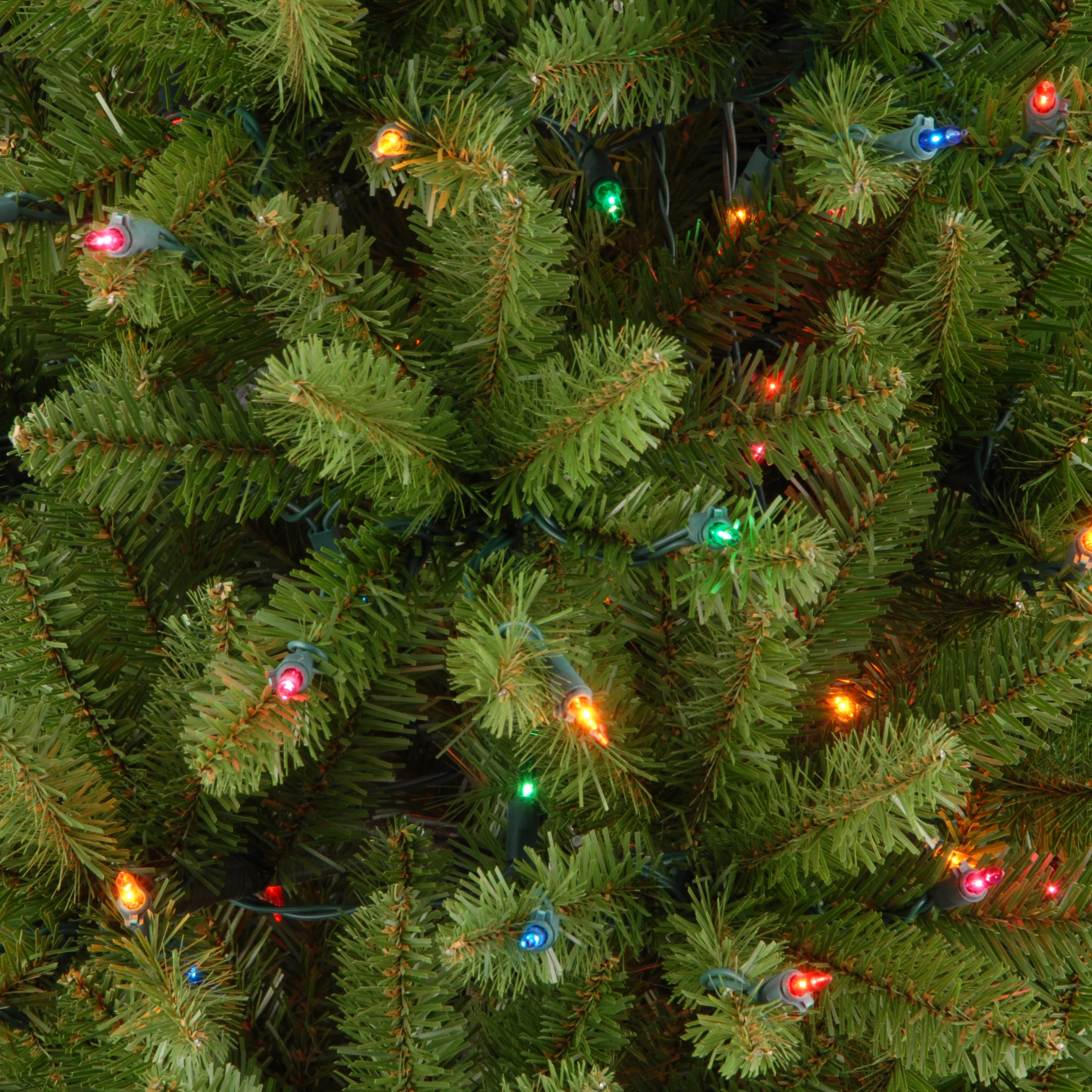 National Tree Company 7.5 ft.Kingswood Fir Pre-lit Pencil Tree - 7.5 Foot - 7.5 Foot - Green 4 National Tree Company 7.5 ft.Kingswood Fir Pre-lit Pencil Tree - 7.5 Foot - 7.5 Foot - Green