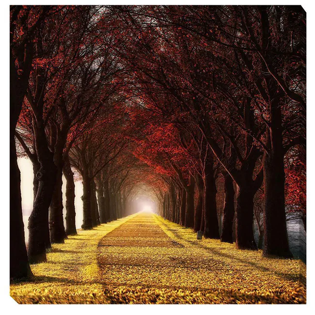Lars Van de Goor 'Wonder Curve' Canvas Giclee Art 2 Lars Van de Goor 'Wonder Curve' Canvas Giclee Art