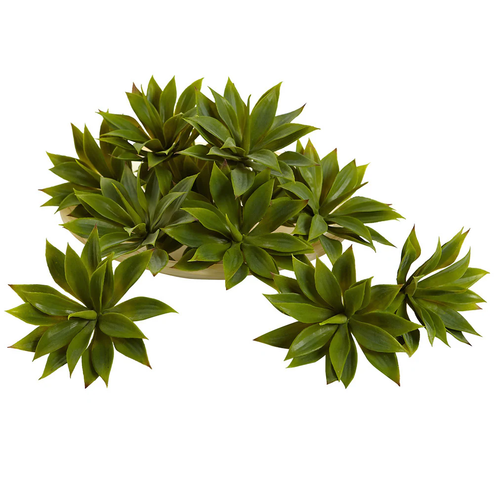 Mini Agave Succulent Plant (Set of 12) - Succulents 4 Mini Agave Succulent Plant (Set of 12) - Succulents